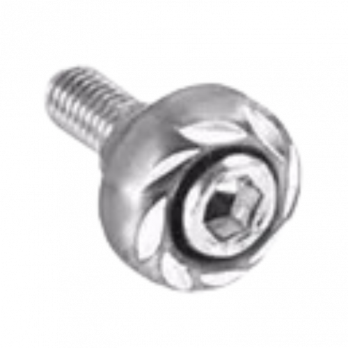 TORNILLO PORTA PLACA PLANO PLATEADO