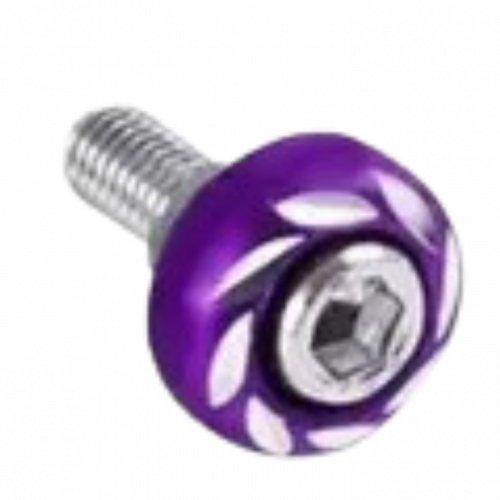 TORNILLO PORTA PLACA PLANO MORADO